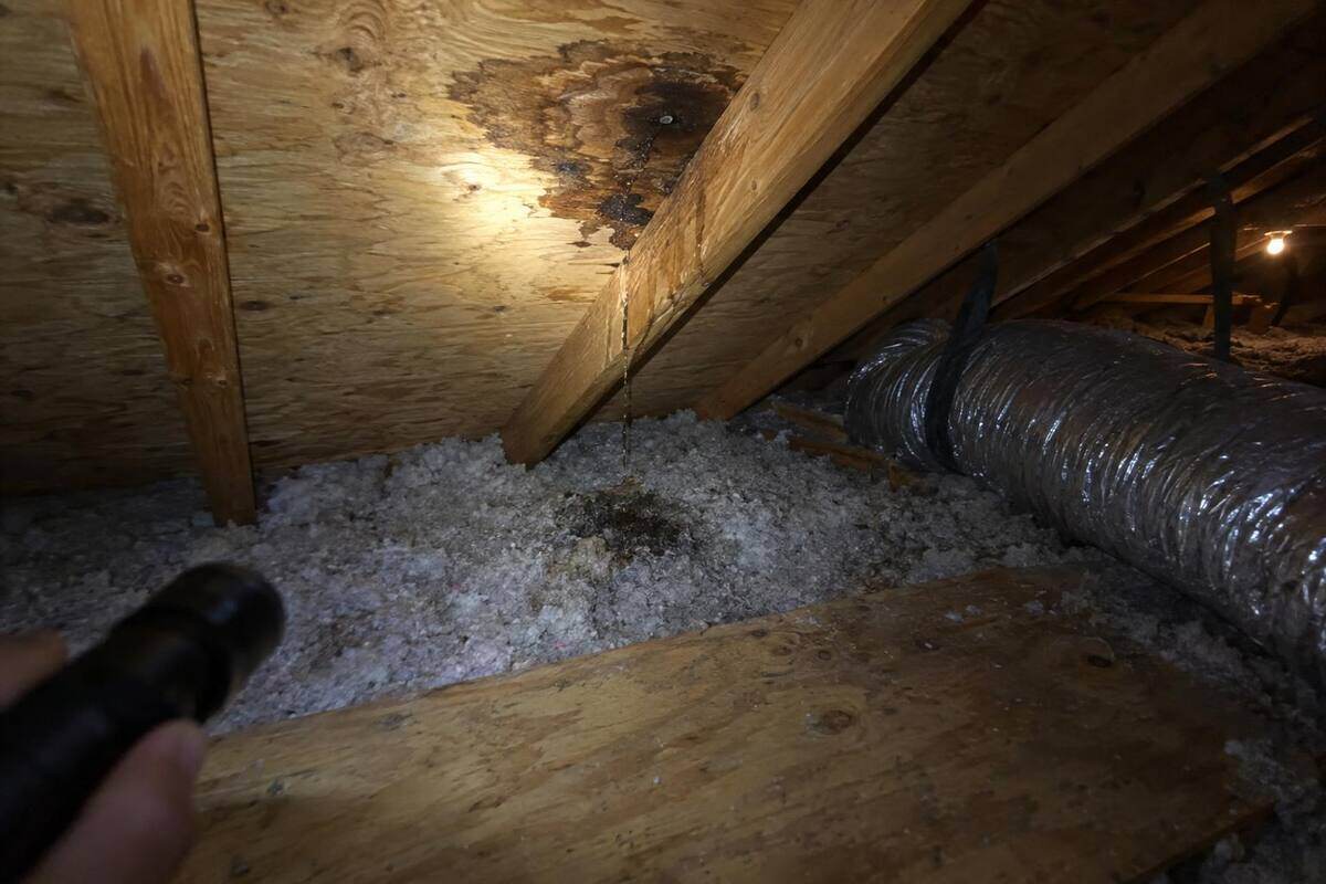A flashlight beam on a dark water stain on the underside of attic decking above loose insulation