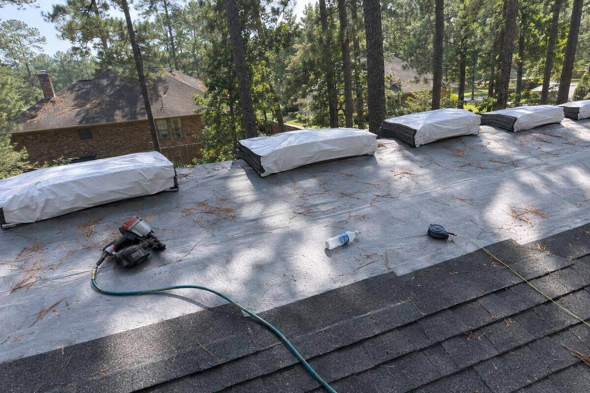 Plain wrapped shingle bundles lined along a ridge over fresh underlayment, pines behind