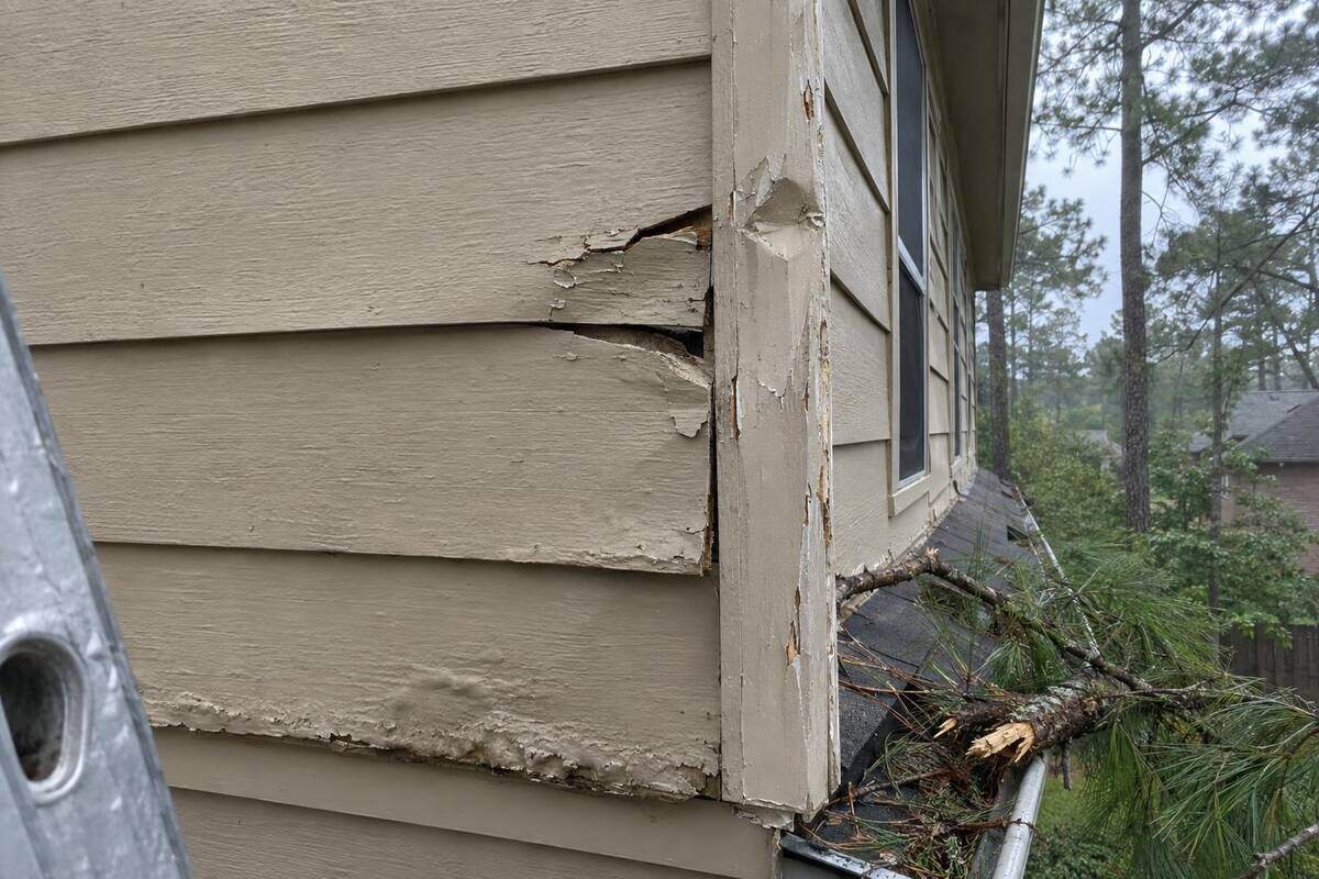 Cracked and dented painted lap siding and corner trim on an upper wall, a pine branch on the gutter