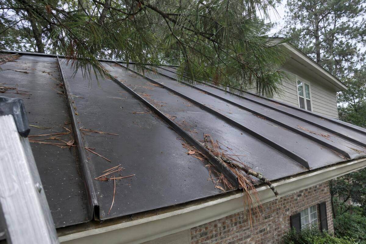 A dark standing-seam metal roof seen from a ladder at the eave, pine needles caught against a seam